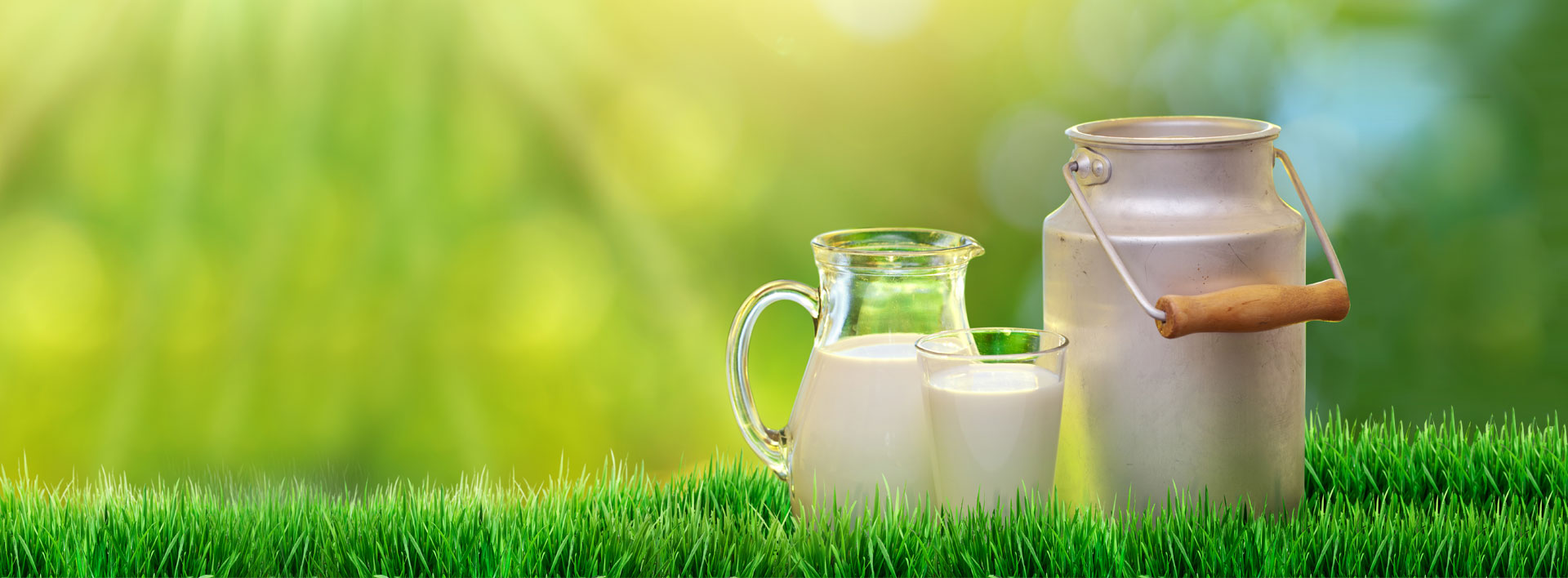 Молочная продукция на зеленом фоне